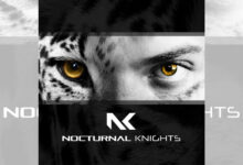Photo of Angelus – Nocturnal Knights 027